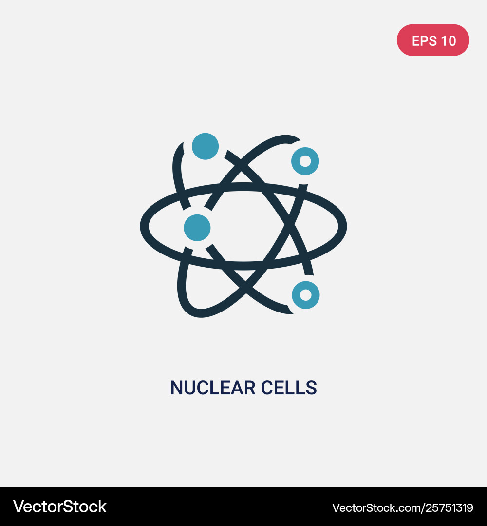 Two color nuclear cells icon from user interface vector image