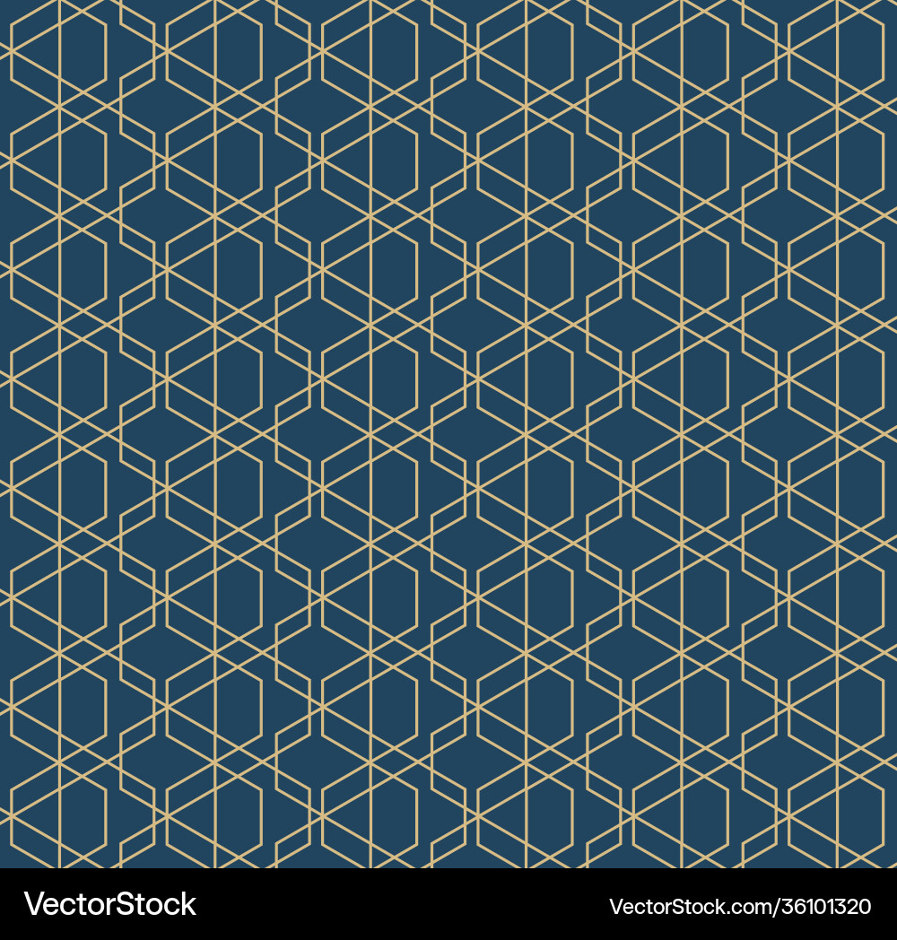 Abstract geometric pattern with lines Vector Image