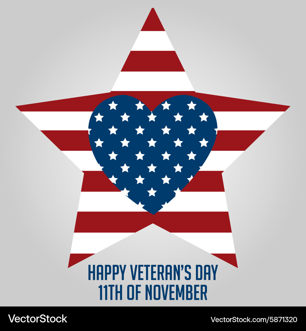 Colored background with text for veterans day vector image