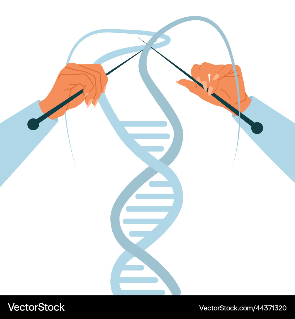 Process of molecular cloning editing modification Process of molecular cloning editing modification vector image