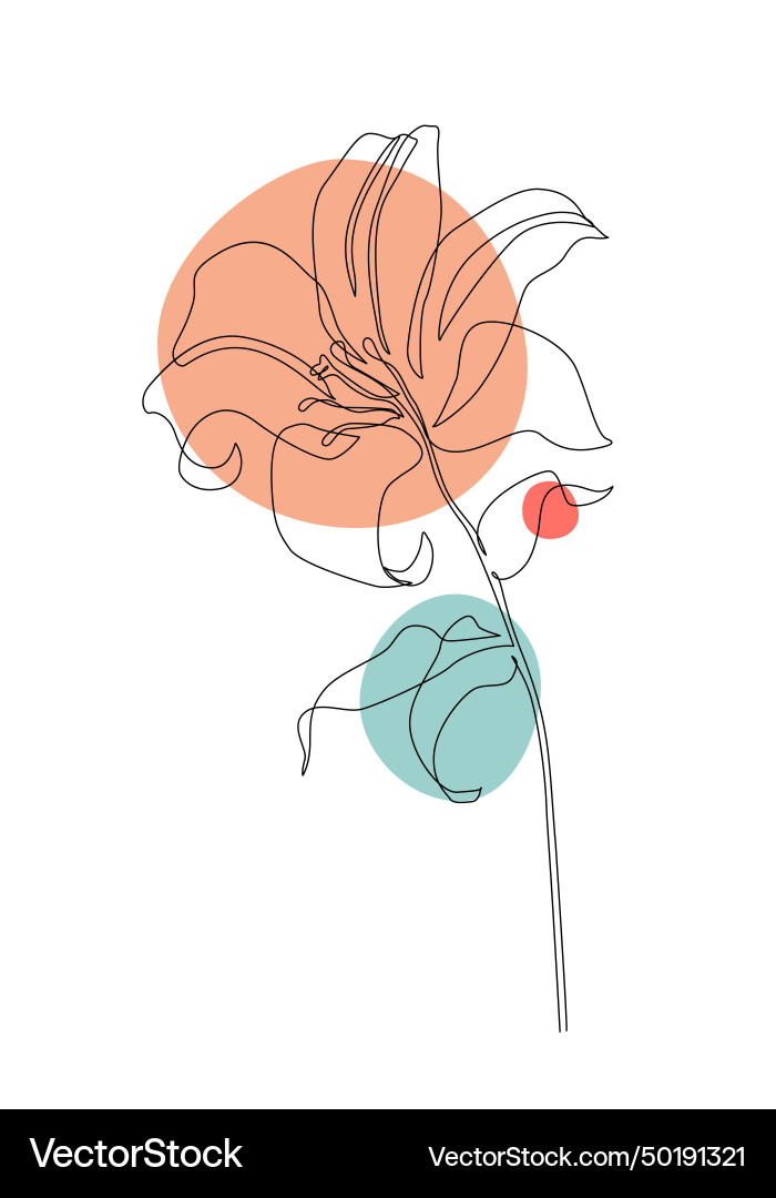 Lily flower in continuous line art drawing style Lily flower in continuous line art drawing style vector image
