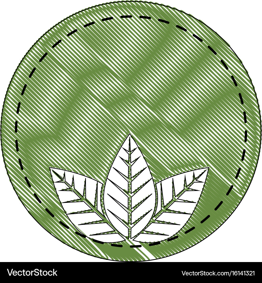 Sheets trees round icon vector image