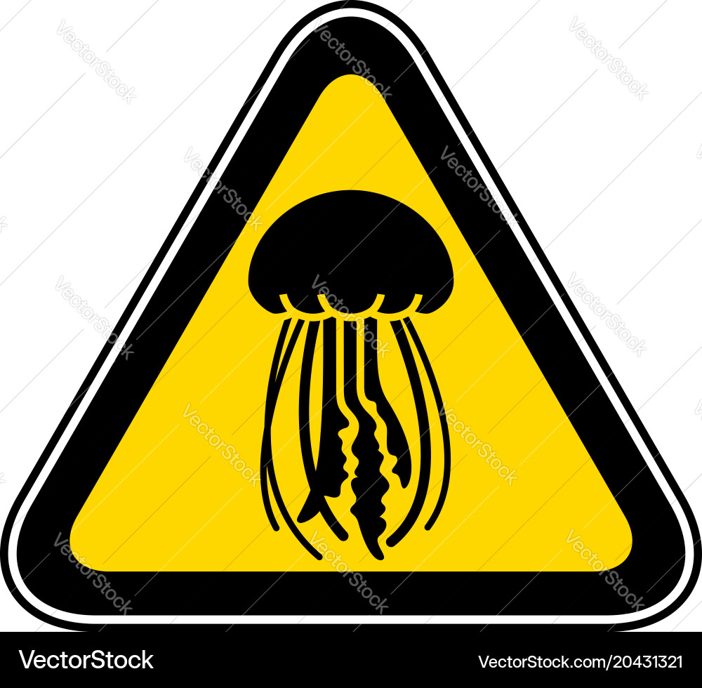 Triangular warning hazard symbol vector image