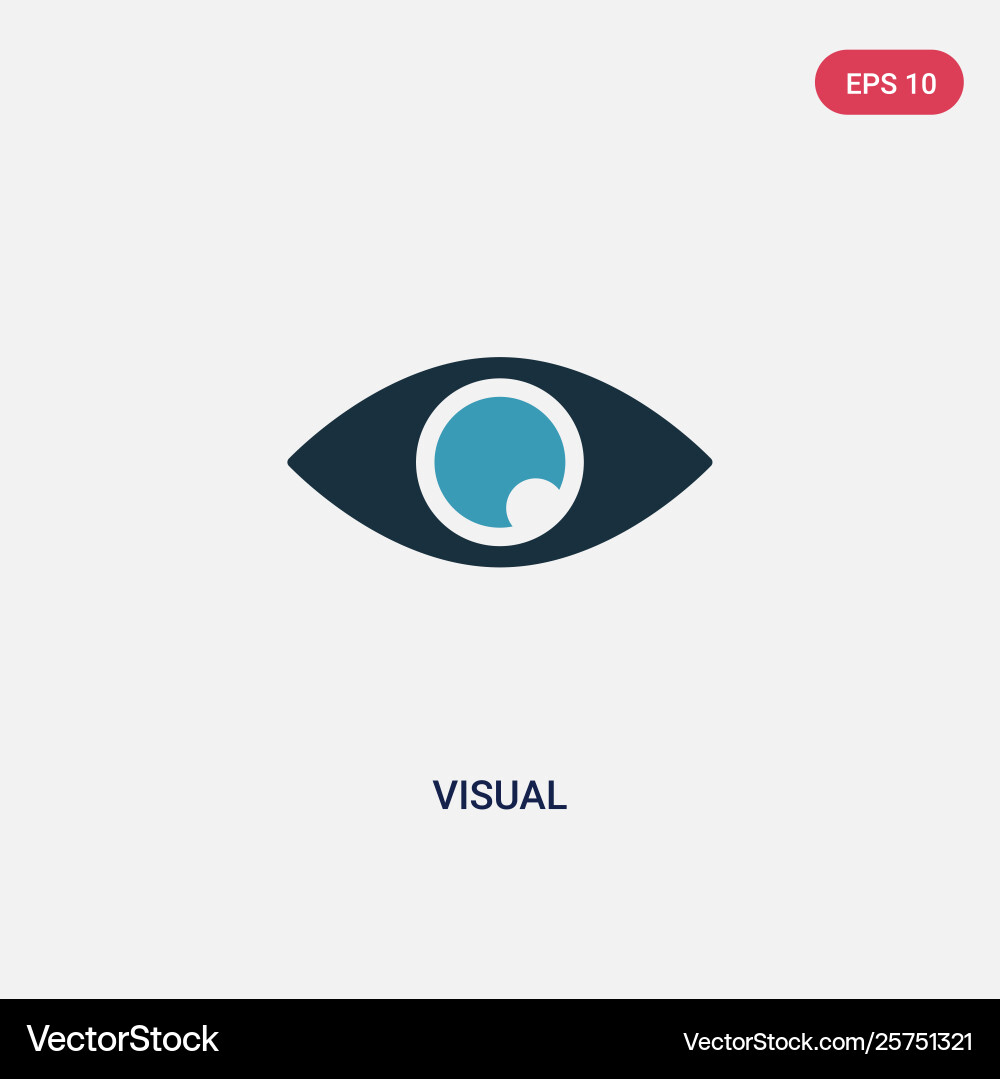 Two color visual icon from user interface concept Vector Image