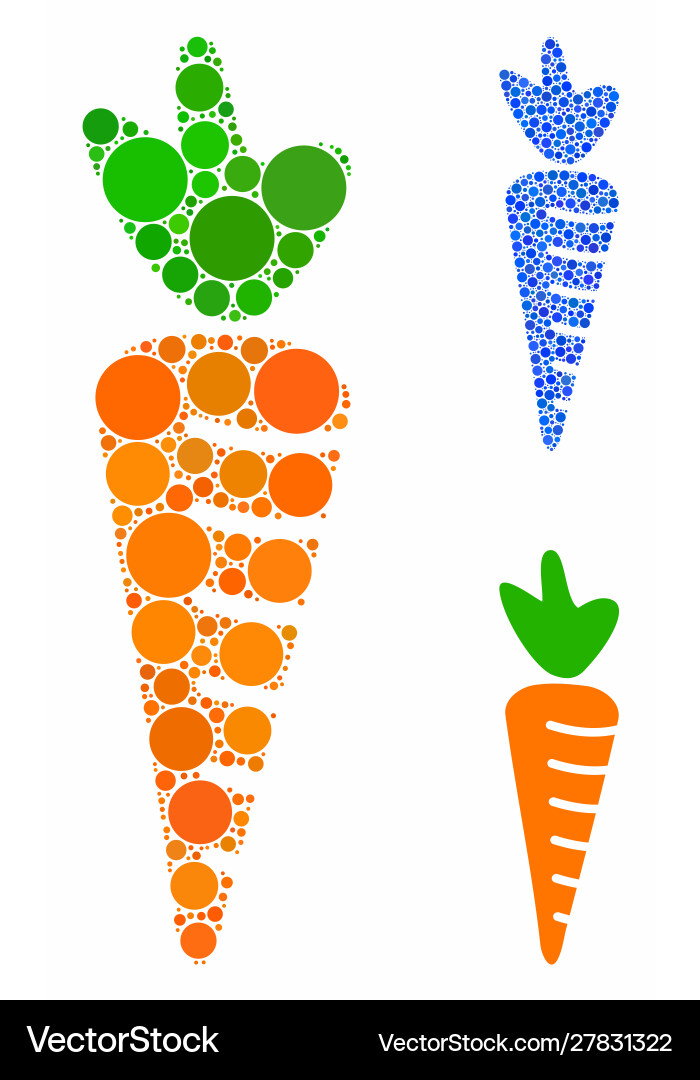 Carrot composition icon round dots Vector Image