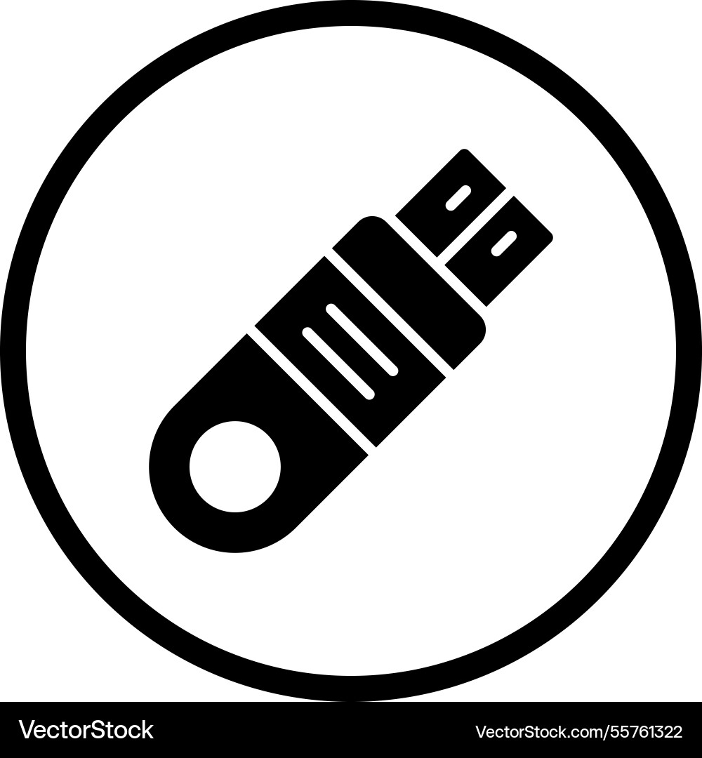 Flash disk icon design Vector Image