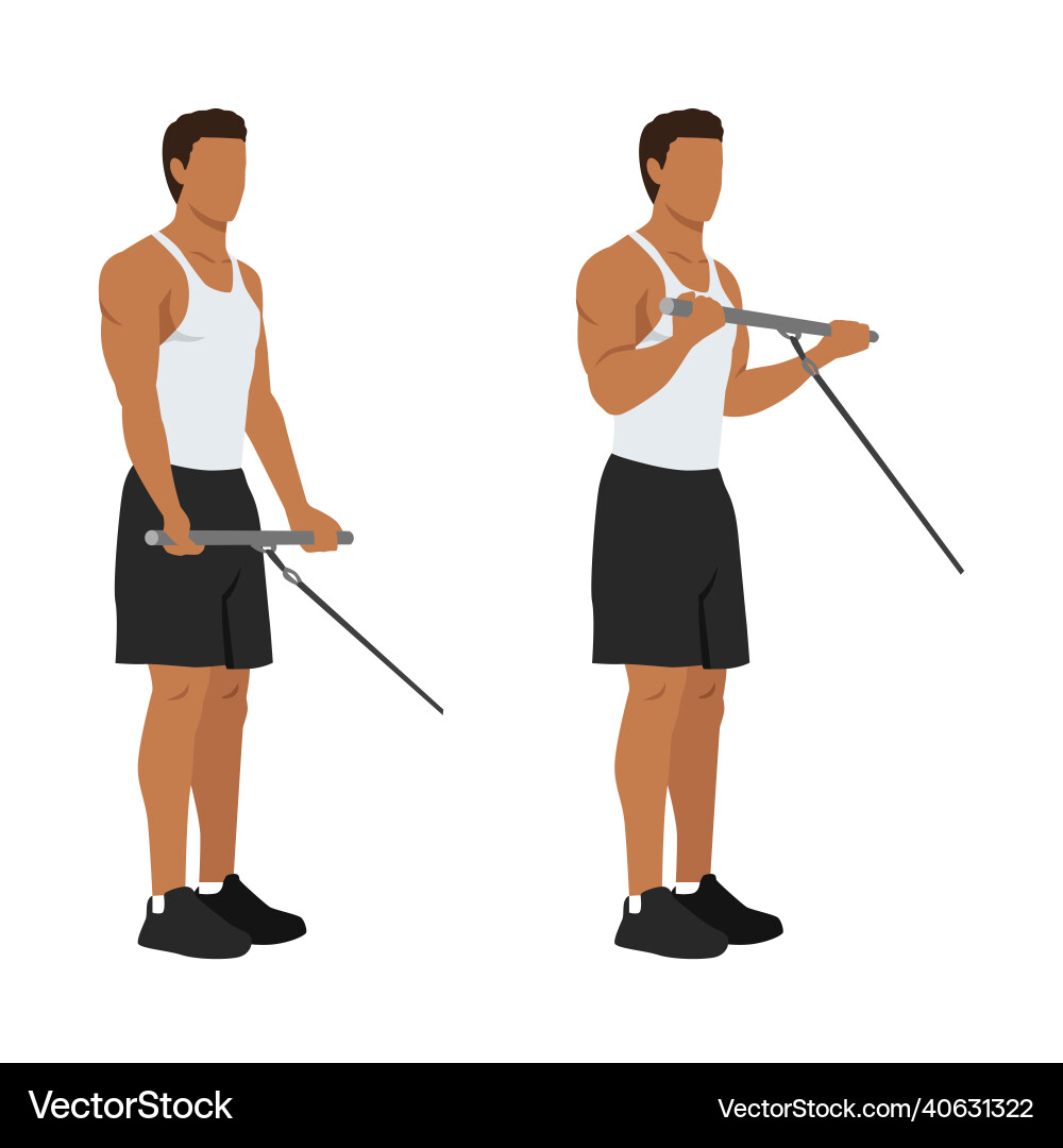 Man doing standing bicep cable curls exercise – Royalty-Free Vector ...