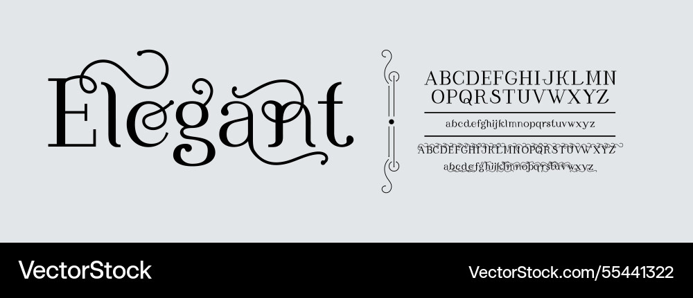 Serif font elegant typography isolated letters Serif font elegant typography isolated letters Vector Image