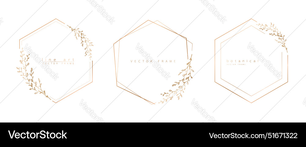Set aus sechseckigen Rahmenvorlagen in minimal linearen Vektorbild