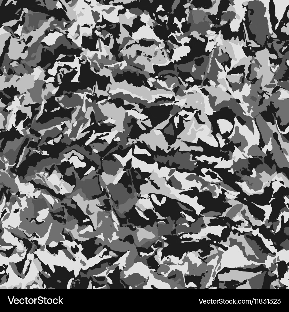Abstract Camo Splash Pattern vector image