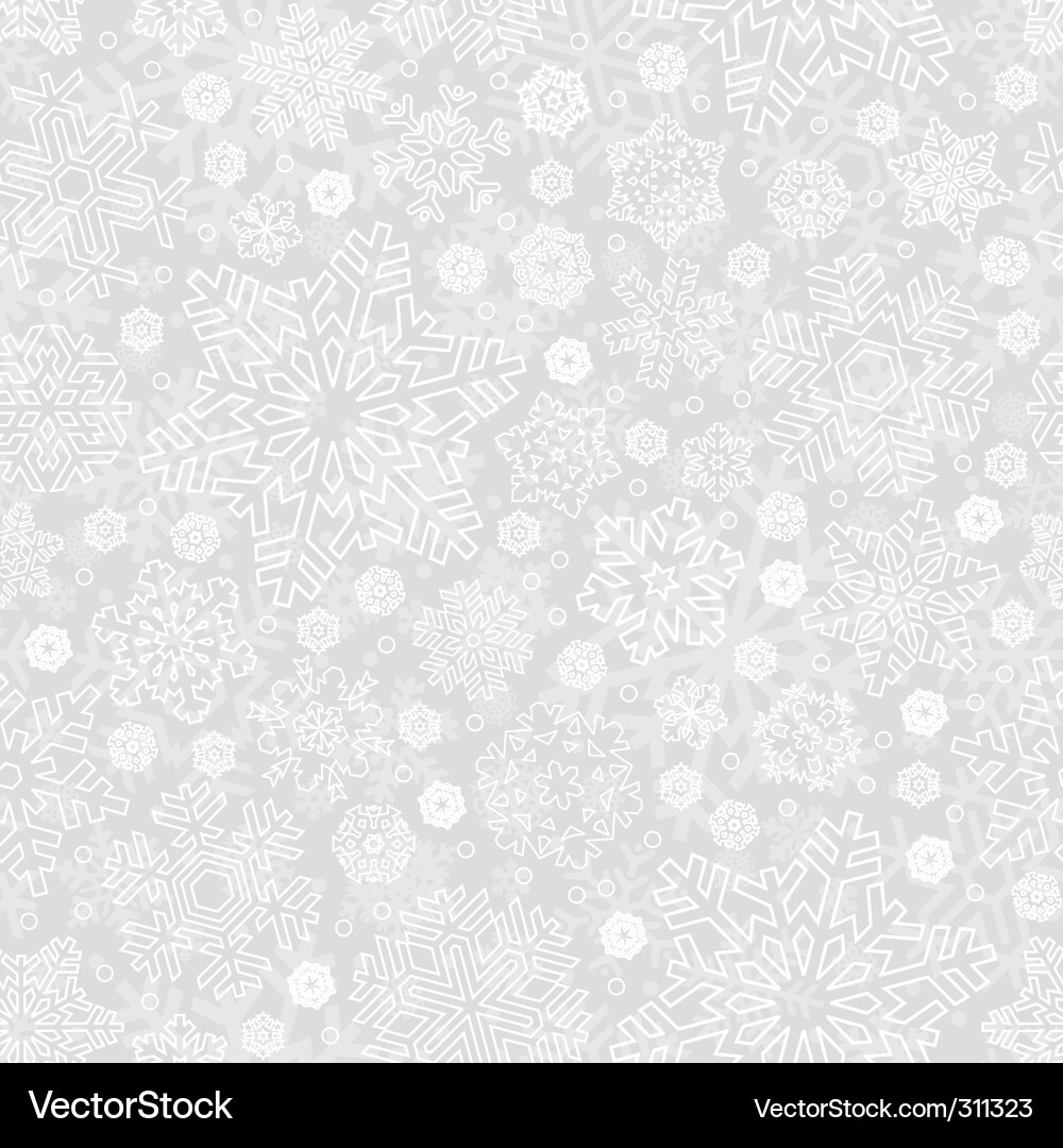 Winter Snowflake Pattern vector image