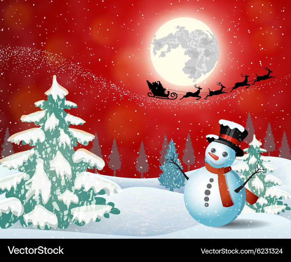 Niedlicher Schneemann auf dem Hintergrund des Nachthimmels Vektorbild