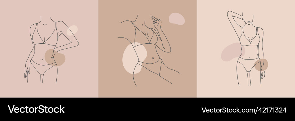 Set of woman body line art vector image