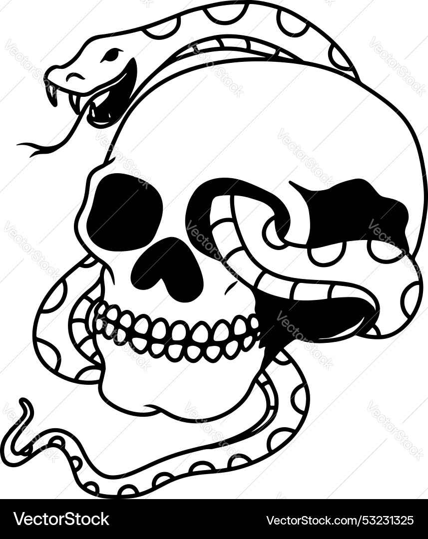 Skull with snake Skull with snake vector image