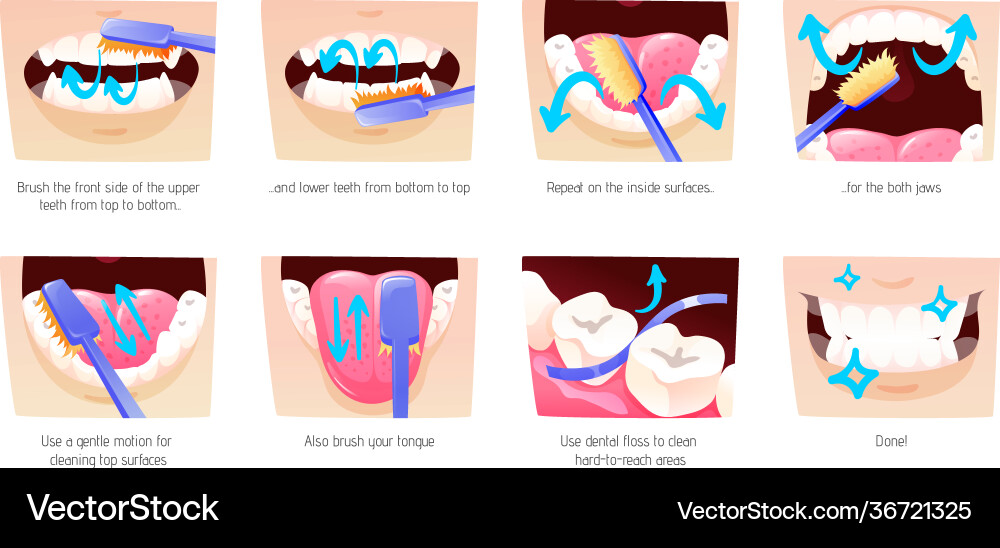 Step-by-step scheme instructions on how to brush Step-by-step scheme instructions on how to brush vector image