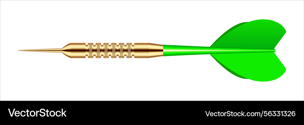 Dart arrow with metal tip and shadow Dart arrow with metal tip and shadow vector image