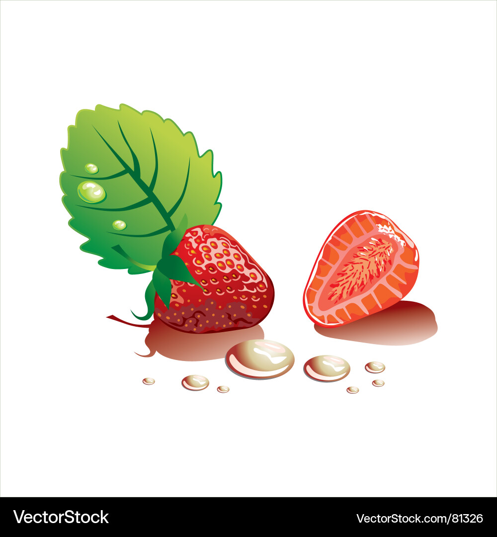 Fresh Strawberries with Drops Vector Image