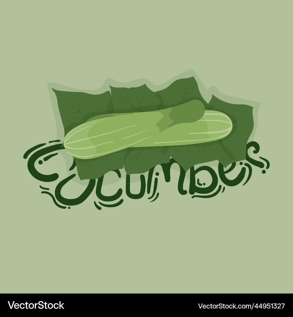 Cucumber with leaf and text vector image