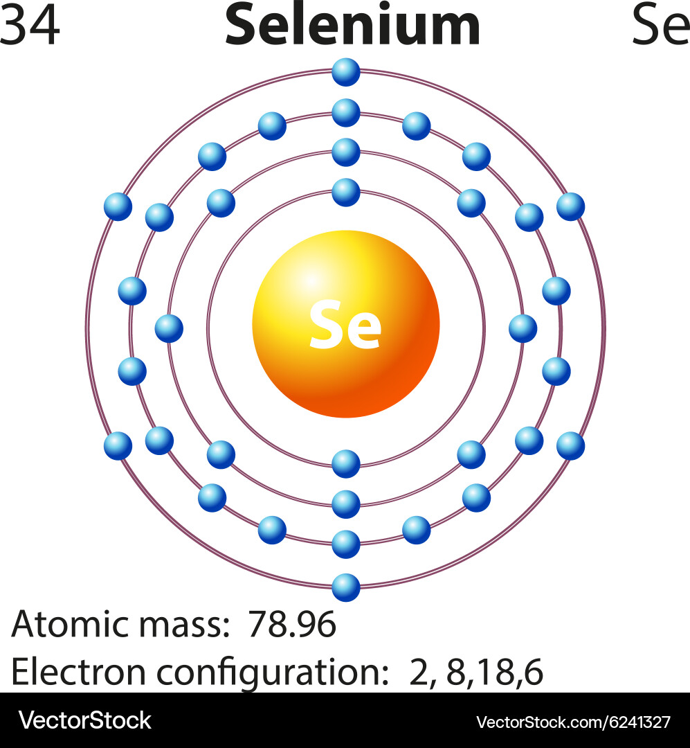 Symbol and electron diagram for selenium vector image