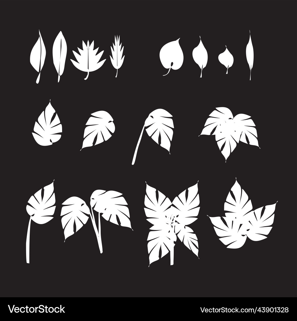 Leaf drawing for design elements Leaf drawing for design elements vector image