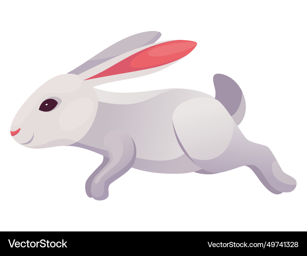 Rabbit animation icon bunny jump or running Rabbit animation icon bunny jump or running vector image