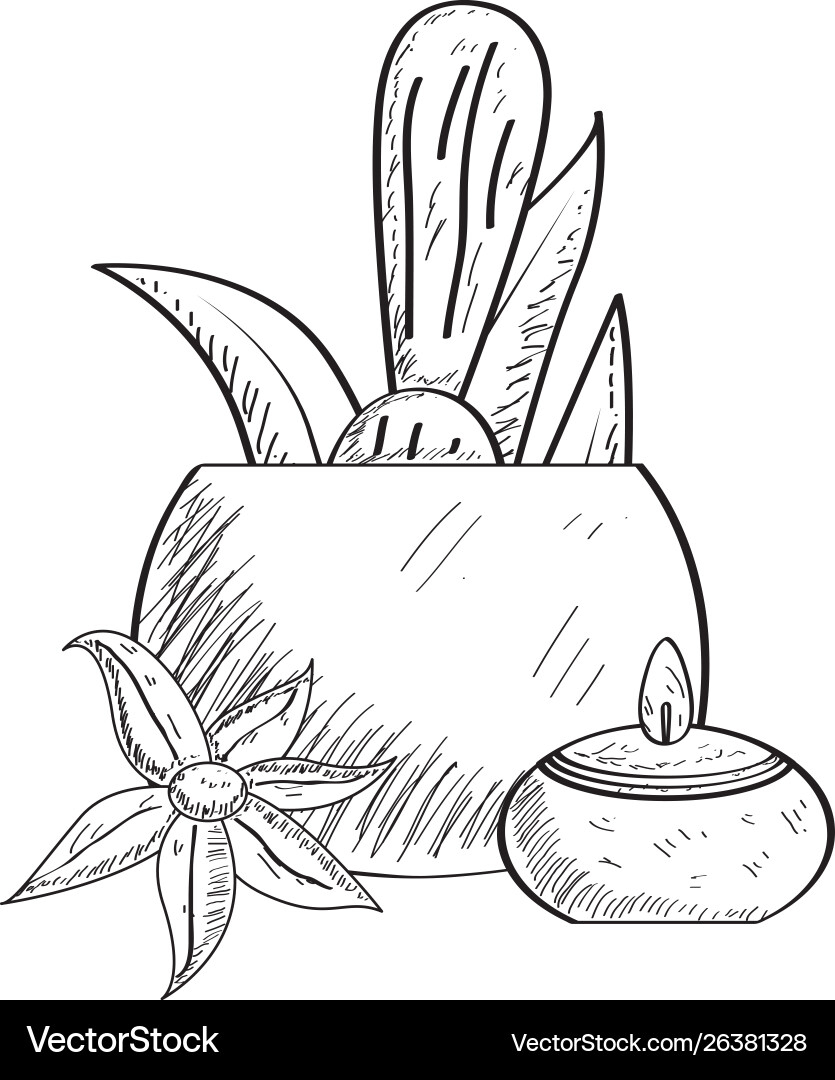 Sketch spa objects vector image