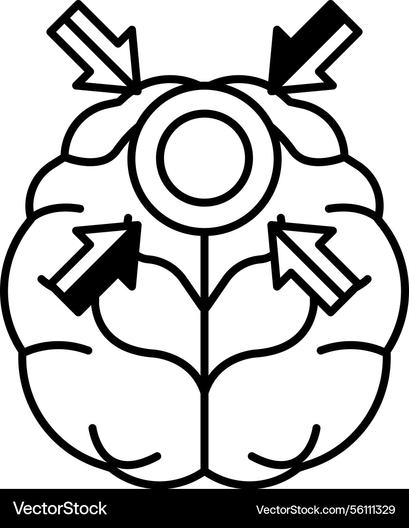 Brain with two different halves and arrows Brain with two different halves and arrows vector image