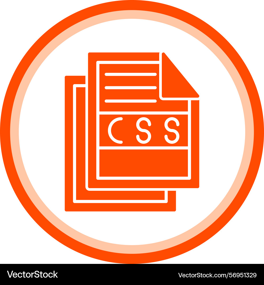 Css file icon vector image