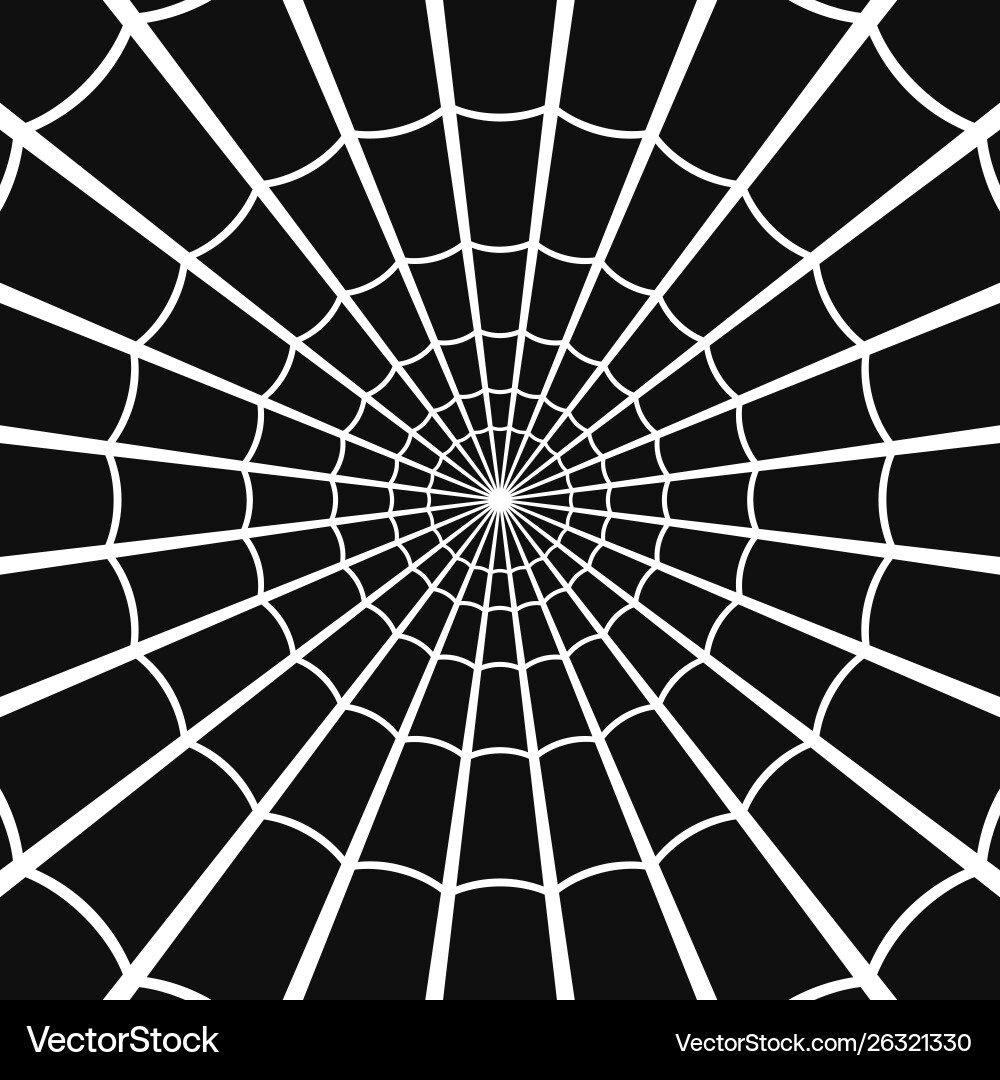 Cobweb or spider web on dark background vector image