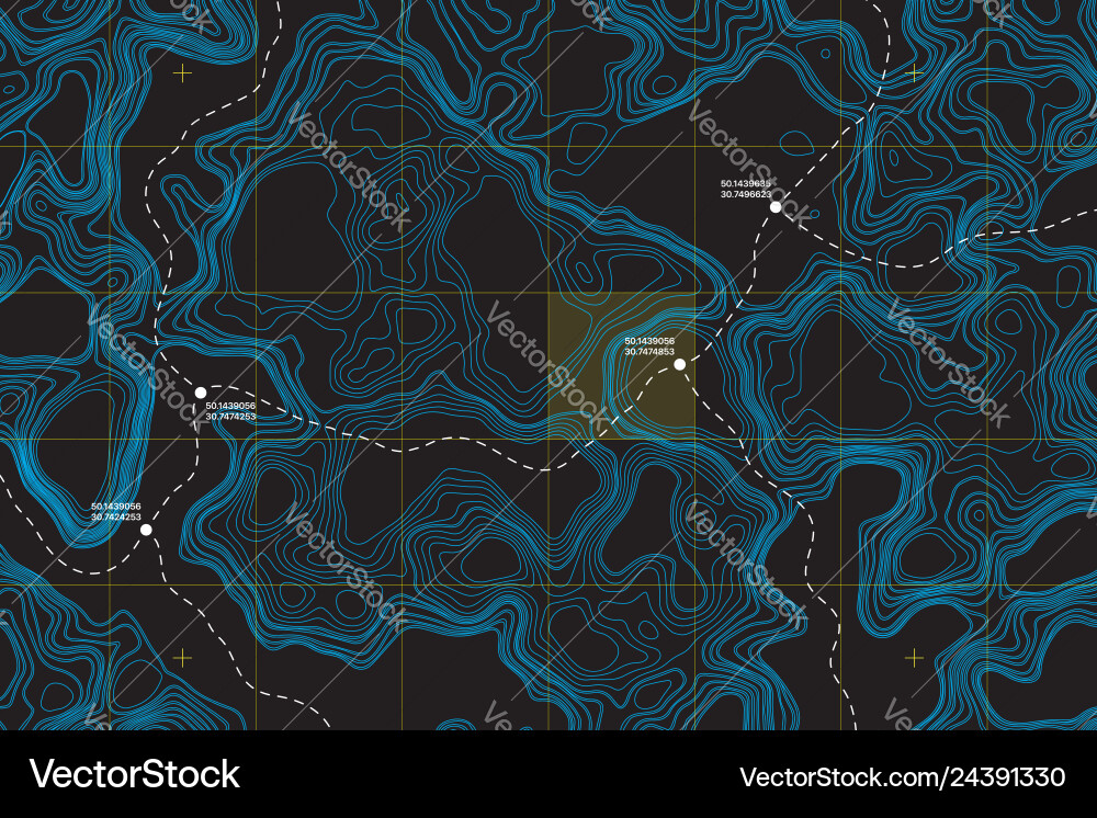 Conceptual topographic map Conceptual topographic map vector image