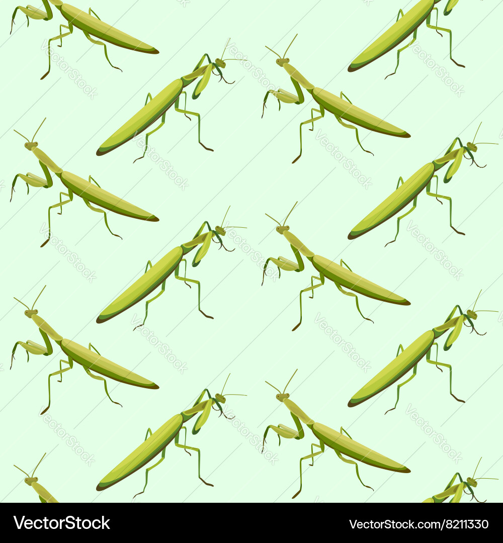 Seamless pattern made of two fighting mantis vector image