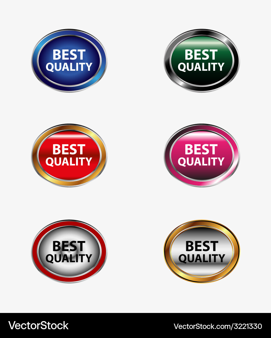 Set of best quality button vector image