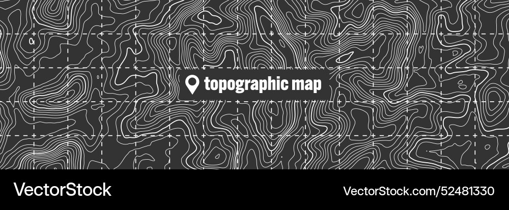 Topographic map with contour lines geographic Topographic map with contour lines geographic vector image