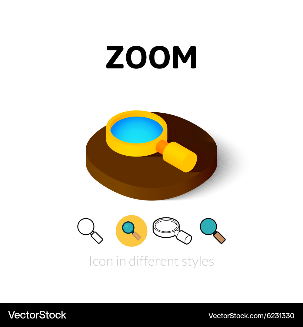Zoom icon in different style vector image