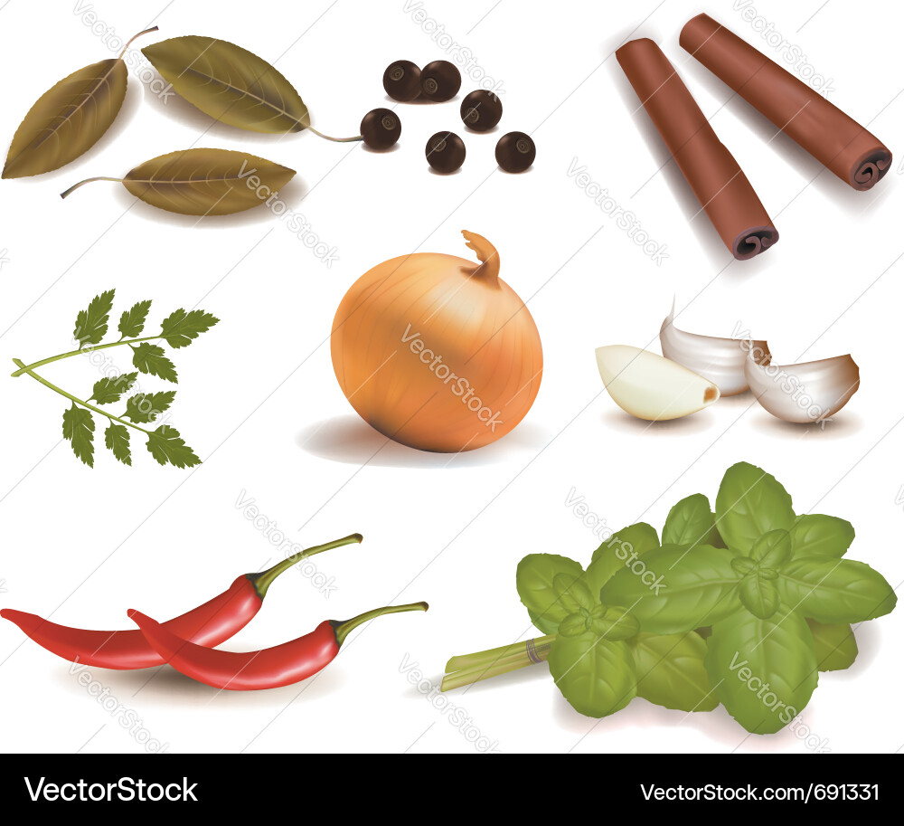 Assorted Spice Collection Vector Image