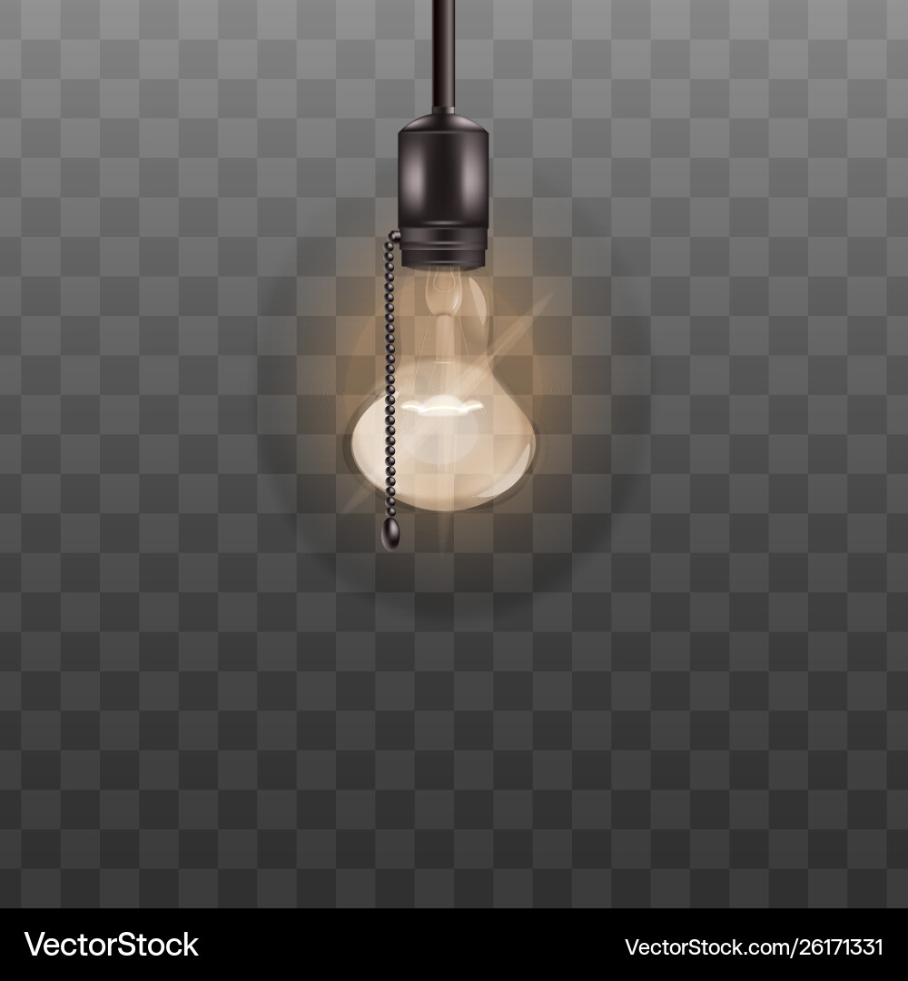 Lit light bulb ceiling lamp with switch rope Lit light bulb ceiling lamp with switch rope Vector Image
