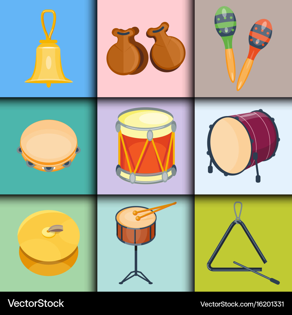 Musical drum wood rhythm music instrument series Vector Image