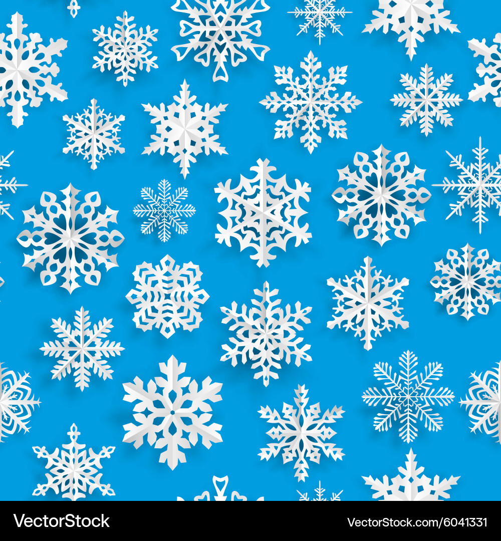 Winter Snowflake Pattern vector image