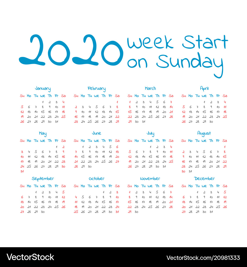 2020 Calendar - Simple Yearly View vector image