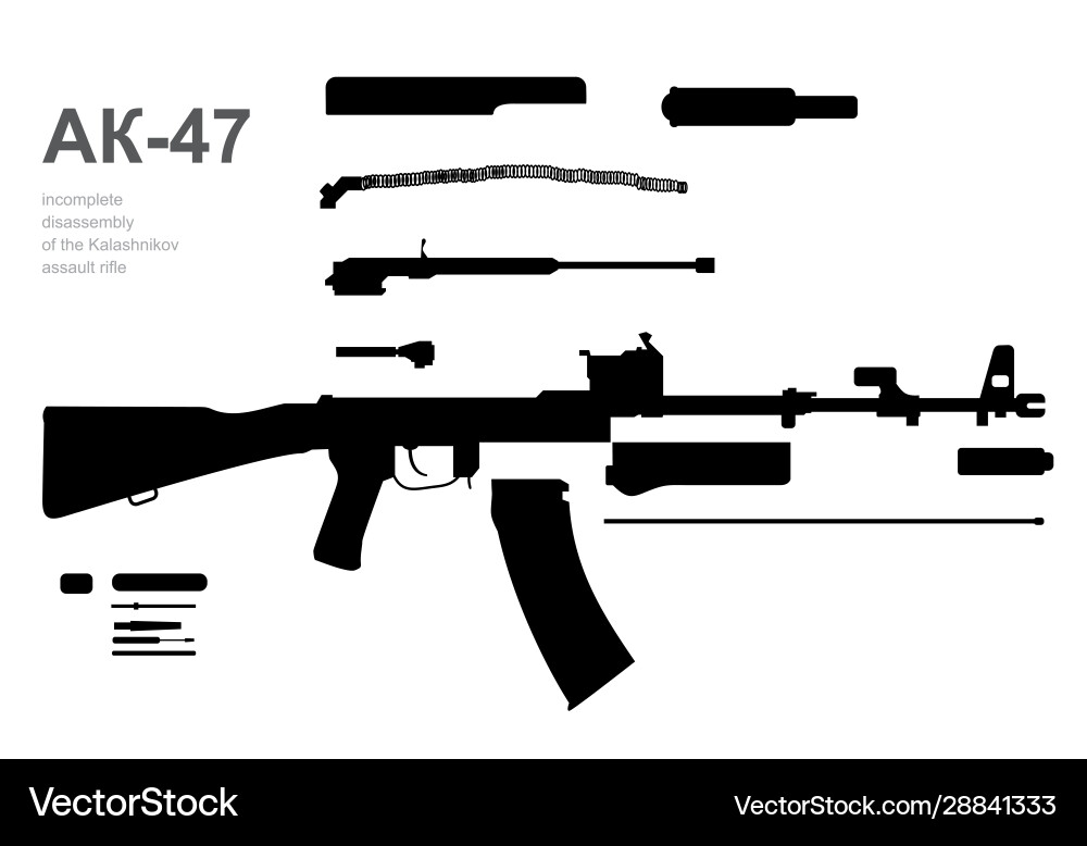 Components kalashnikov assault rifle vector image