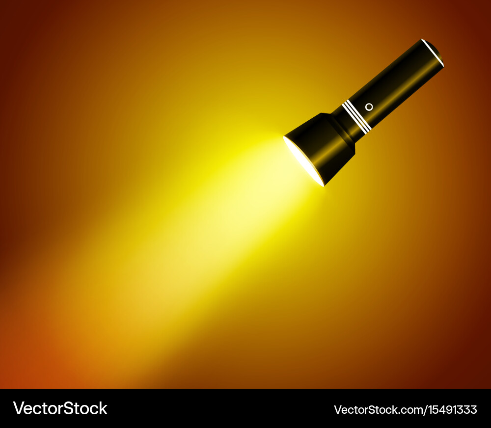 Flashlight isolated on transparent background vector image