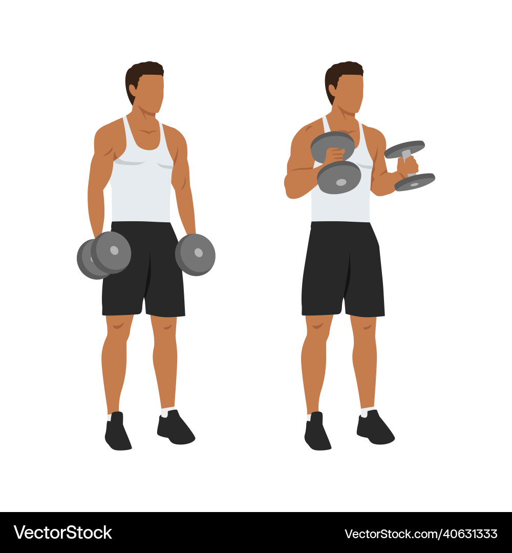 Man doing standing dumbbell bicep hammer curls Man doing standing dumbbell bicep hammer curls vector image