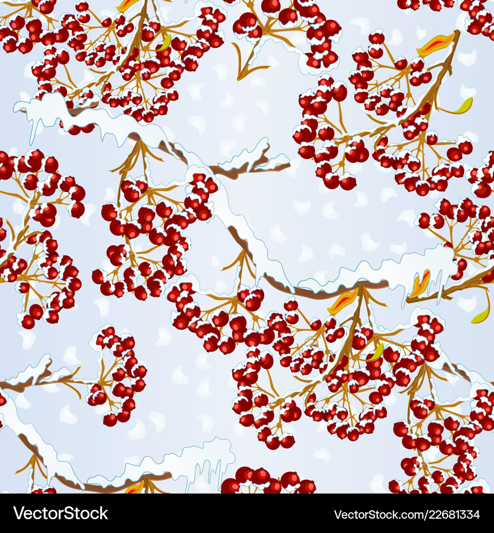 Seamless texture rowan on branch covered with snow Seamless texture rowan on branch covered with snow vector image