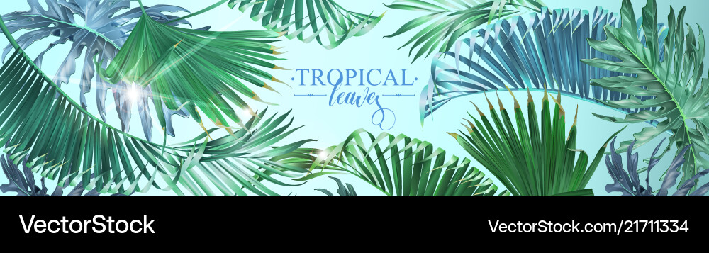 Tropical Leaf Banner Vector Image