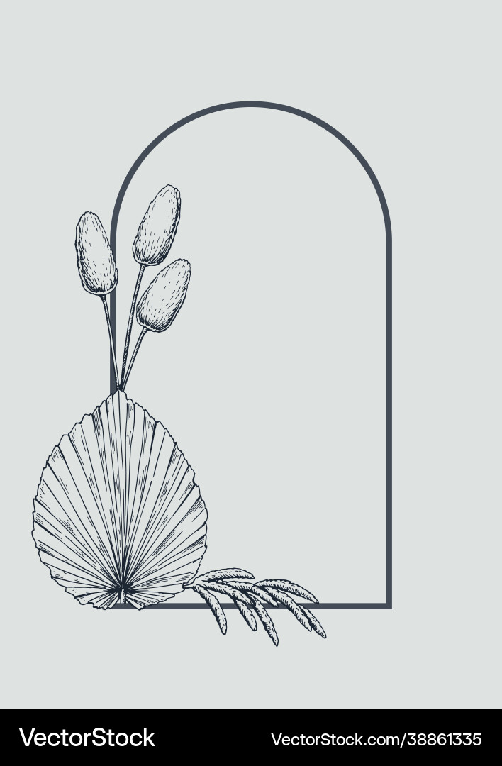 Hand drawn botany frame with elements Vector Image