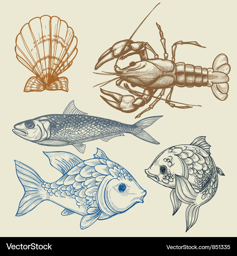 Marine Seafood Shells and Fish Vector Image