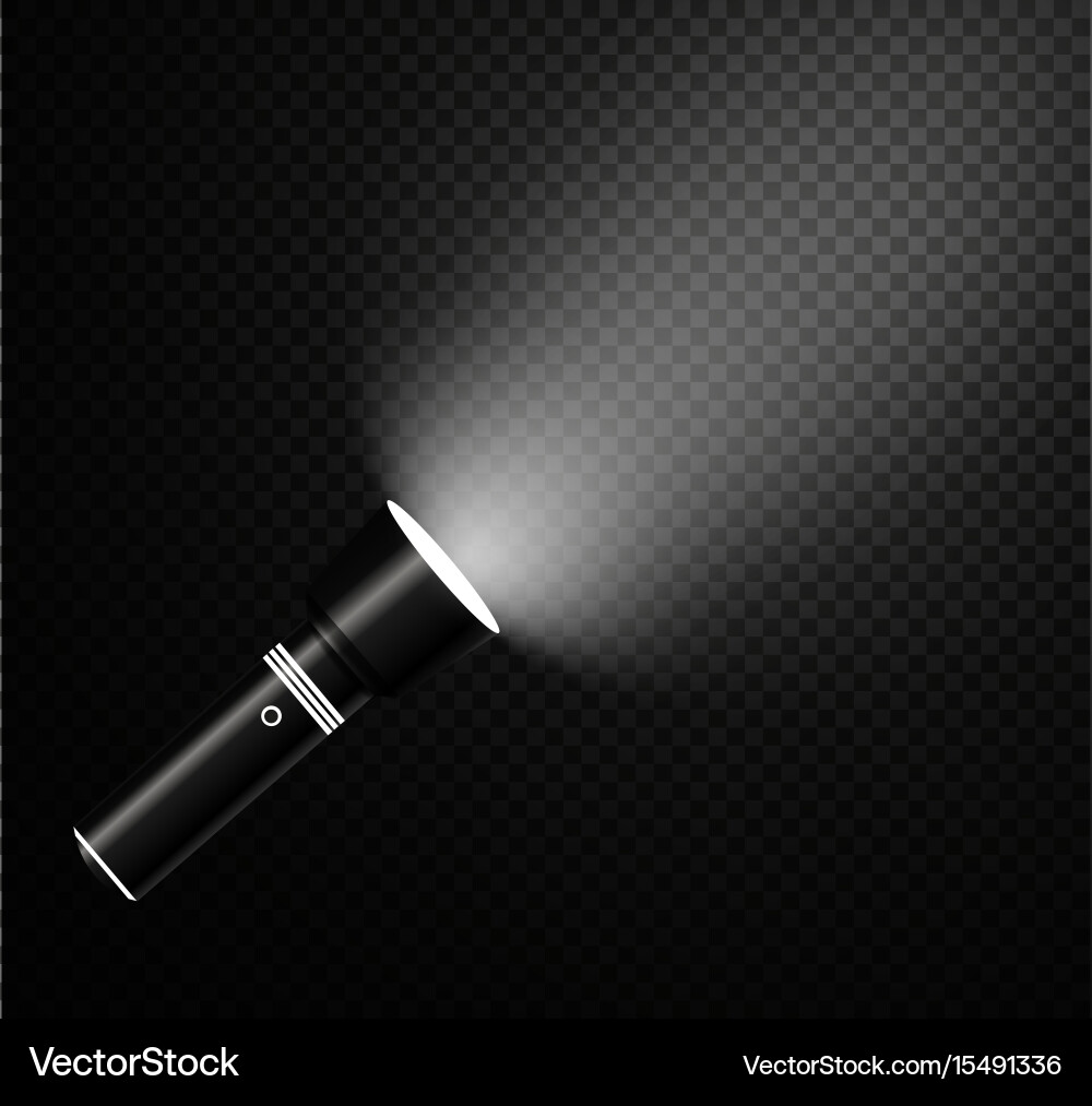 Isolated Flashlight on Transparent Background vector image