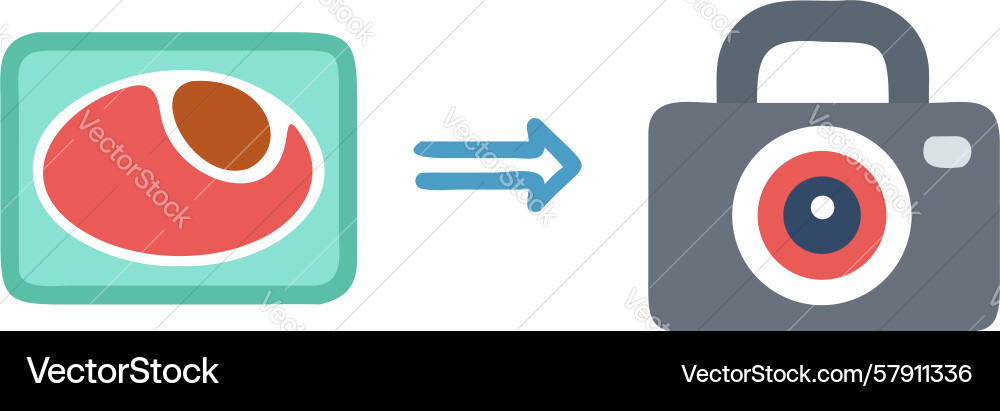 Secure photo conversion format change icon Vector Image