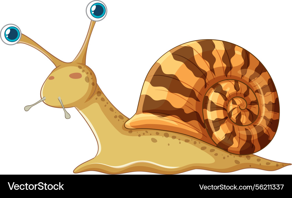 A smiling snail with large eyes and striped shell A smiling snail with large eyes and striped shell Vector Image