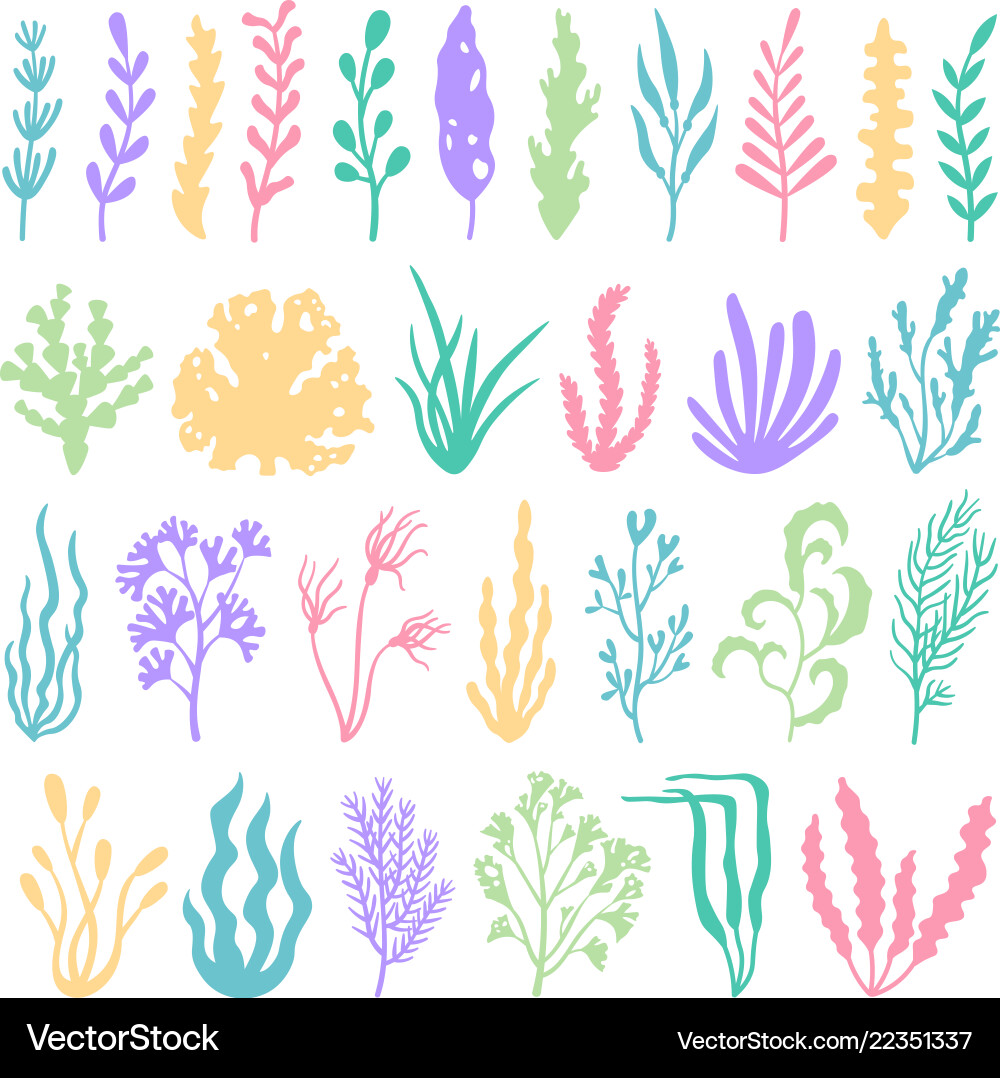 Aquarium seaweed silhouette underwater planting Aquarium seaweed silhouette underwater planting vector image